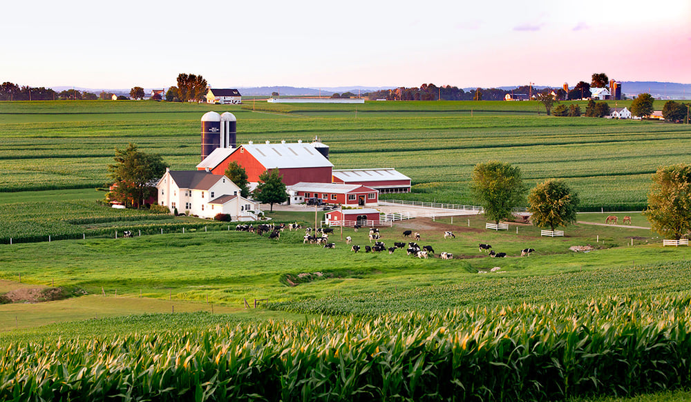 Lancaster farm and farmland