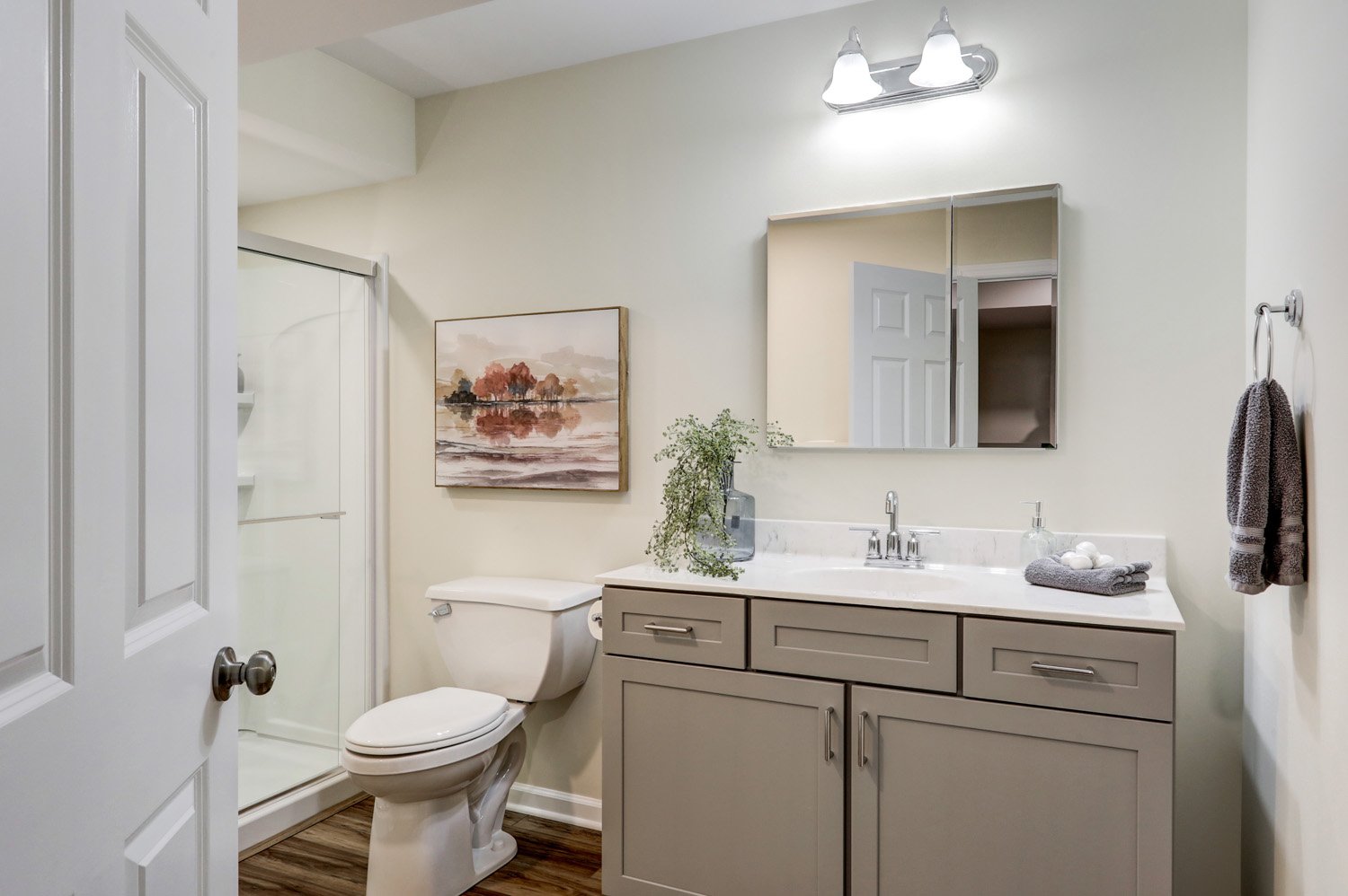 Manheim basement remodel with full bathroom
