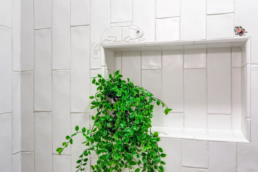 Lancaster Bathroom Remodel with shower niche