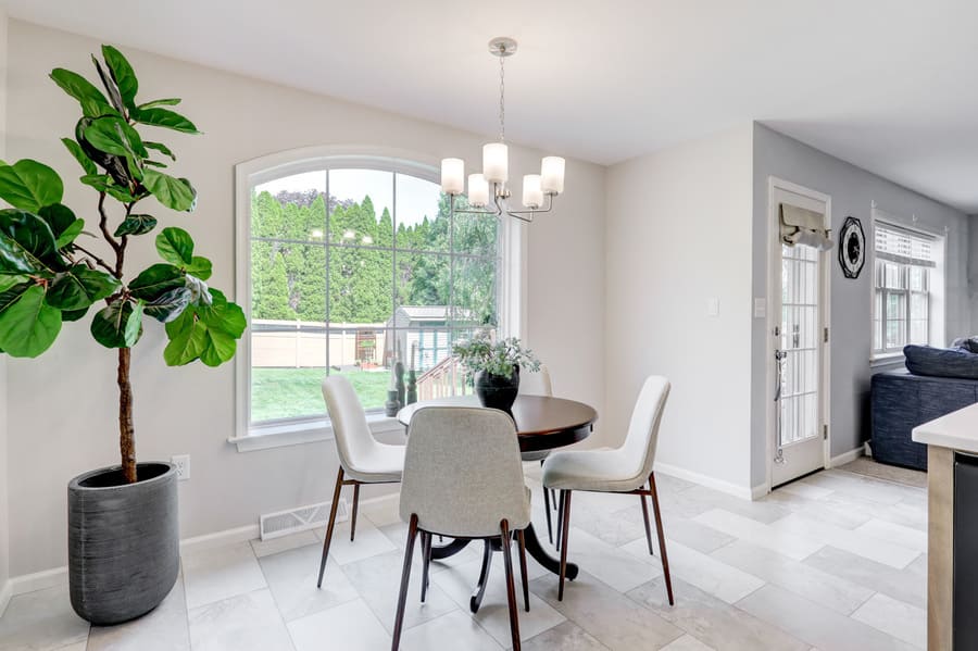 Large window and natural light in Willow Street Kitchen Remodel