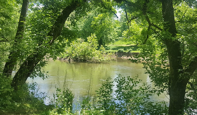 View of a river from Lancaster County hiking trail