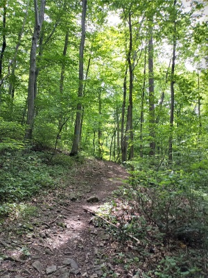 8 Magical Hiking Trails in Lancaster