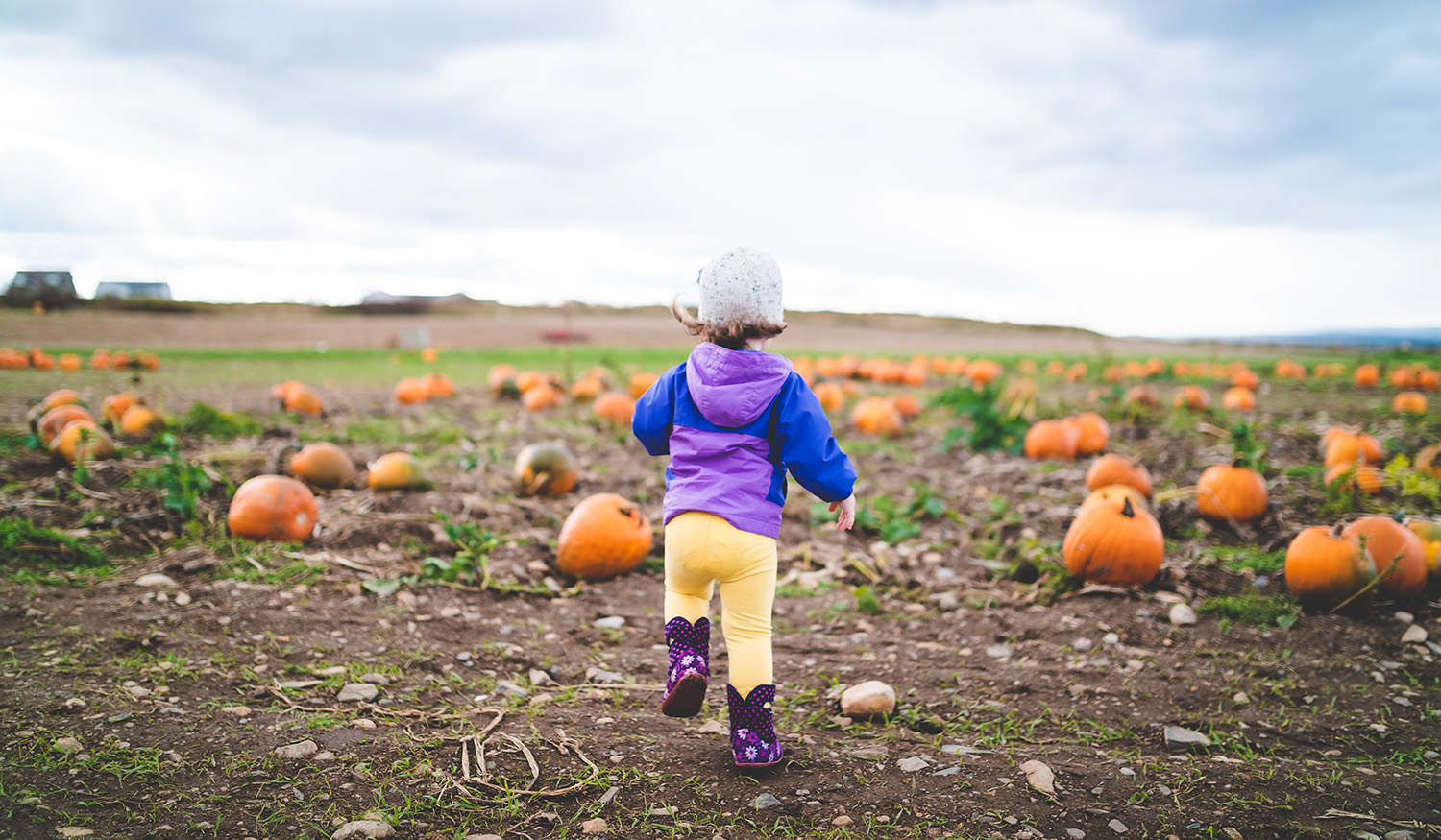 Best Fall Activities In Lancaster For