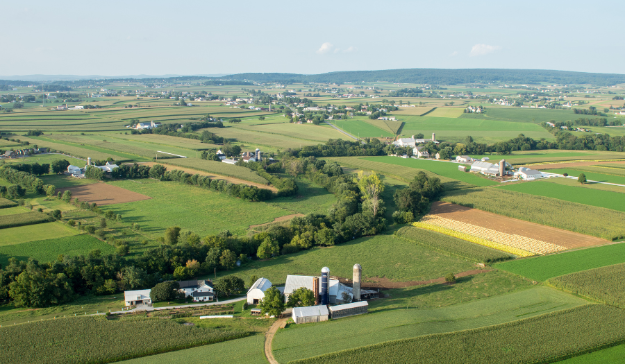 Hosting Out-of-Town Guests? Local Lancaster Attractions to Add to Your Itinerary