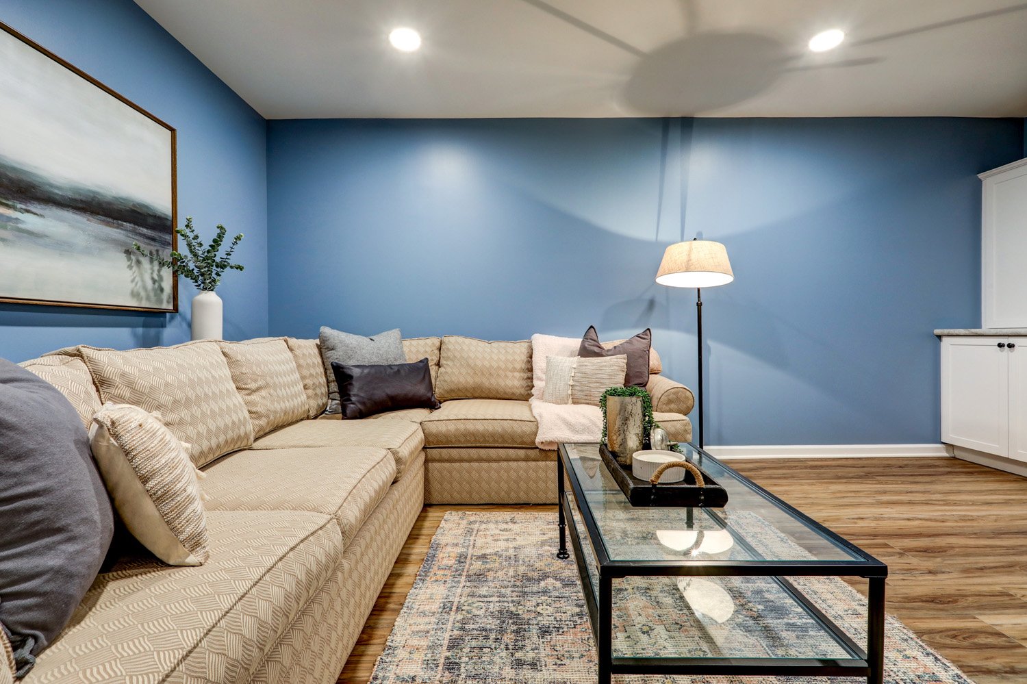 Living room in Manheim Basement Remodel