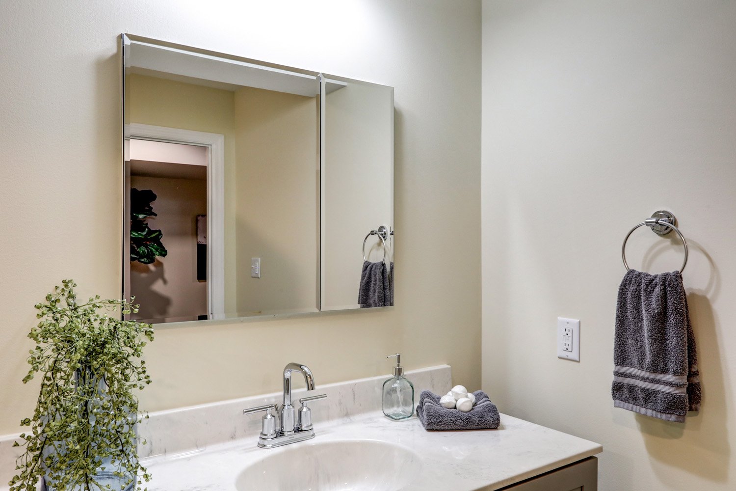 mirror and medicine cabinet in  Manheim Basement Remodel