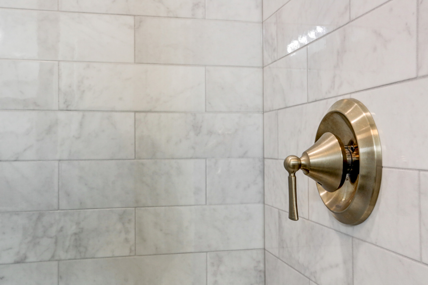 Brushed nickel accessories in tiled shower in Bloomingdale Master Bathroom Remodel